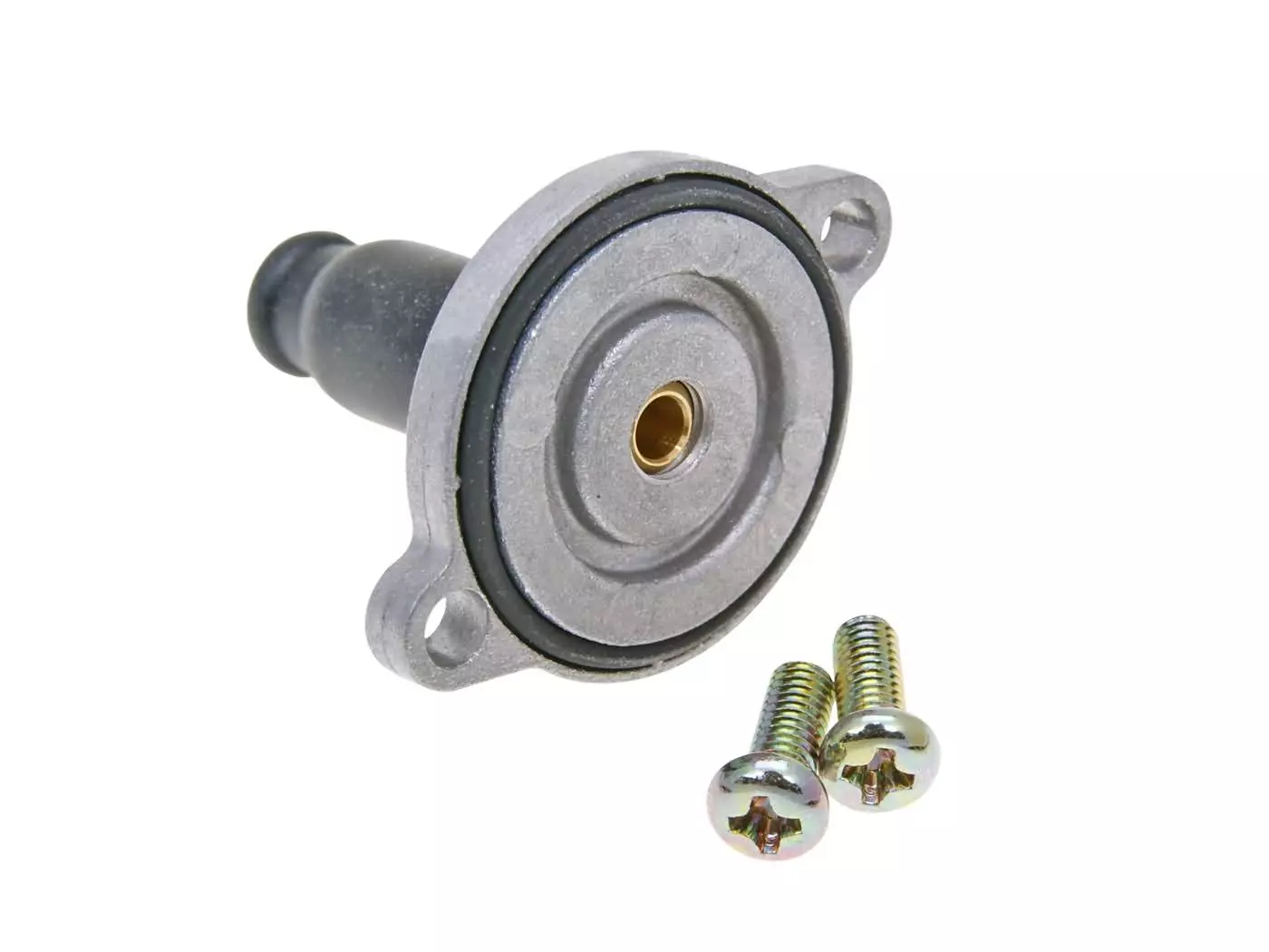 allesvoorscooters1-1228645