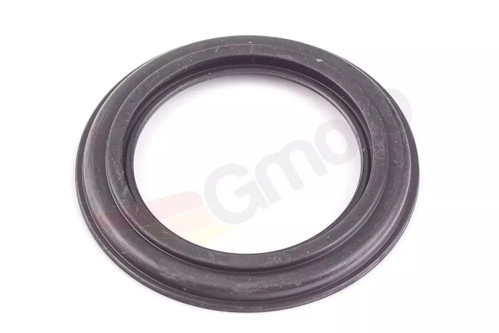 gmoto-1406573