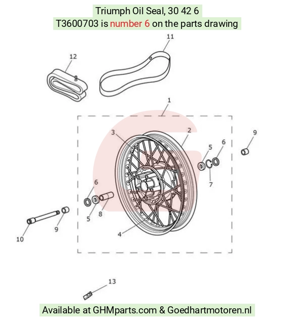 goedhartmotoren3-104255