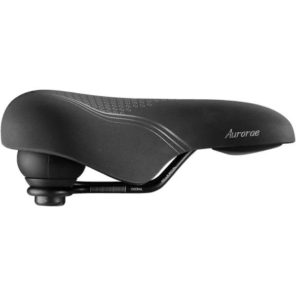 hollandbikeshop2-1346368