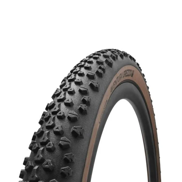 hollandbikeshop3-1467346