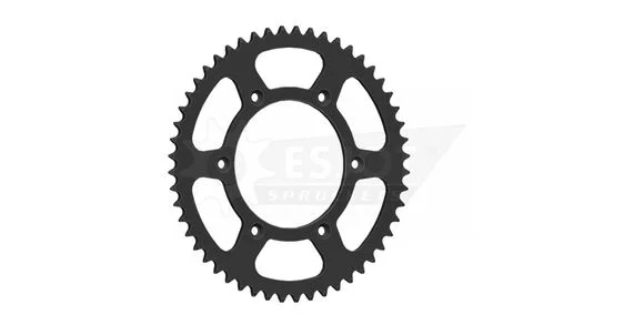 media.motoblouz5-261430